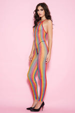 Load image into Gallery viewer, Crotchless Rainbow Fishnet Bodystocking
